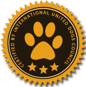 云呼死你网页版